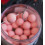 Бойлы поп ап CC Moore Carp Freaks Pop Ups Pink