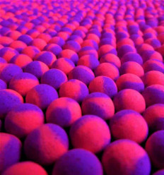 Амино поп ап КАЛЬМАР•КЛЮКВА Grandcarp