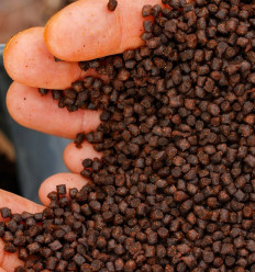 Пелетс CC Moore Pacific Pro-Stim Liver Pellets 1kg