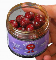 Бойлы Dudi Bait Caramele насадочные варёные в дипе Кальмар-Лесные ягоды 100 г