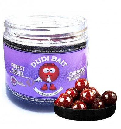 Бойли Dudi Bait Caramele насадочні розчинні в дипі Кальмар-Лісові ягоди 100 г
