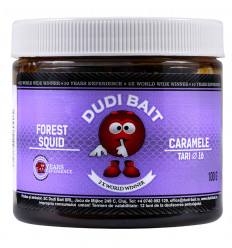 Бойлы Dudi Bait Caramele насадочные варёные в дипе Кальмар-Лесные ягоды 100 г