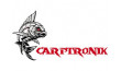 CARPTRONIK